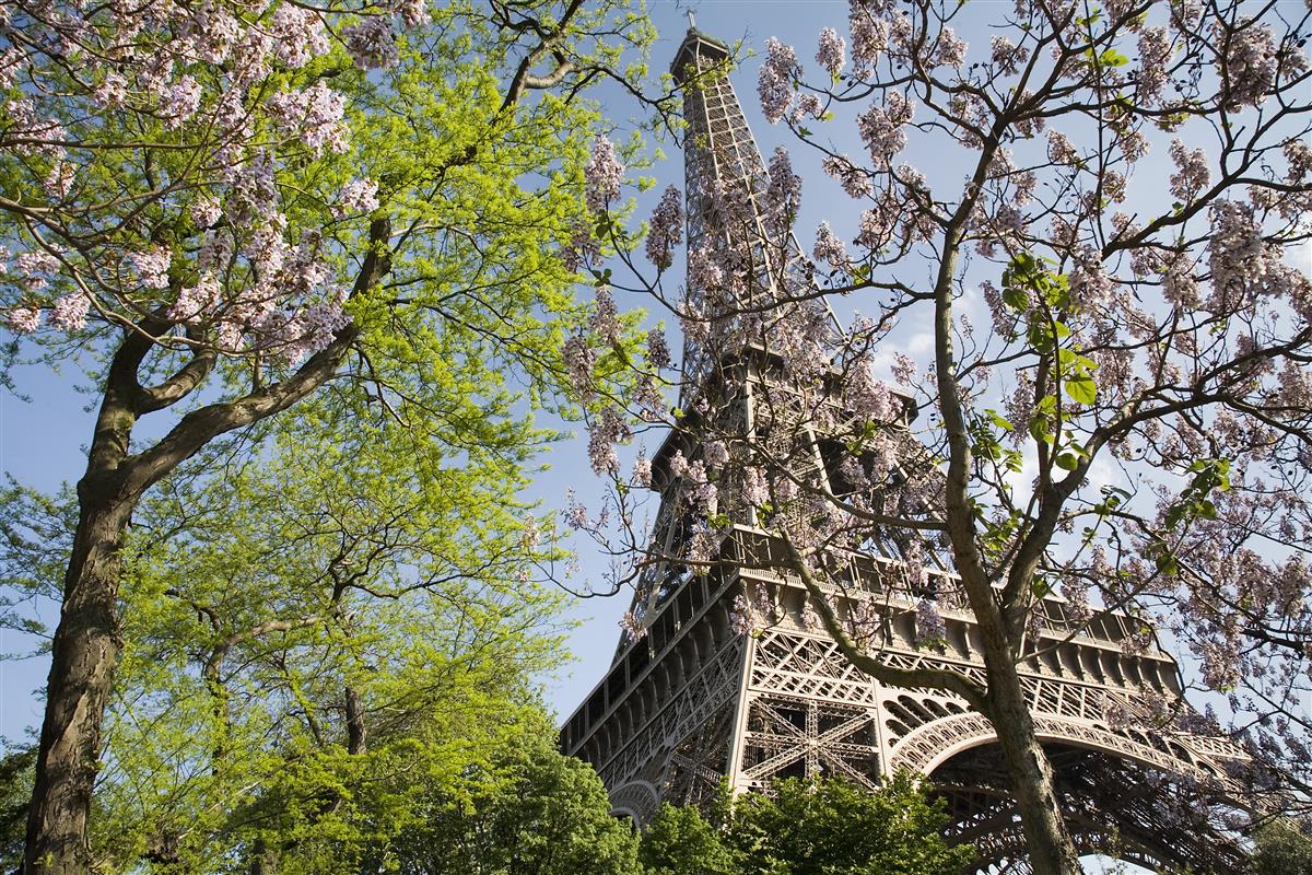 The Eiffel Tower: Paris's Eternal Iron Lady